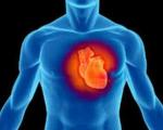 بهبود سلول های بنیادی قلب به کمک امواج فراصوتی