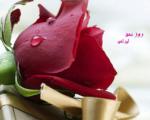 29 بهمن ، روز عشق ایرانی