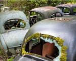 قبرستان خودروهای قدیمی و بنجل در سوئد+تصاویر