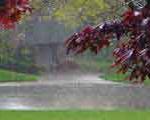 بارش باران در نیمه شمالی و غربی/ افزایش بارشها از روز چهارشنبه