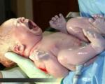 نوزاد حاصل از لقاح آزمایشگاهی در ایران، مادر شد