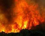 آتش در تگزاس ۱۵۵۴ خانه را نابود كرد