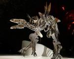 اسکلت این دایناسور دانشمندان دنیا را شوکه کرد + تصاویر
