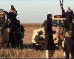 داعش، امام جماعت مسجد موصل را کشت، 300 غیر نظامی در موصل و تکریت ربوده شدند