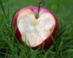 11 دلیل برای خوردن روزی 1 عدد سیب