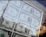 رئیس ستاد مبارزه با قاچاق کالا و ارز تائید کرد:دلارهای تقلبی در بازار ارز