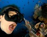 جالبترین روش مسواک زدن دندان با موجودات دریایی!+تصاویر