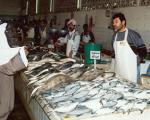 "بگذارید بگندد" کمپین اینترنتی کویتی ها علیه گرانی ماهی (+عکس)