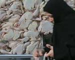 دلایل افزایش قیمت مرغ به ۶۹۰۰ تومان