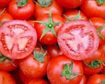 واکنش سازمان غذا و دارو به خبر استفاده از هورمون برای رنگ کردن گوجه فرنگی