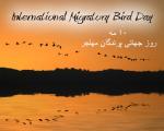 10 مه؛ روز جهانی پرندگان مهاجر