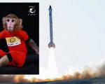 دومین میمون فضانورد ایرانی سالم به زمین بازگشت