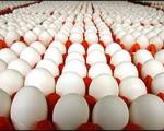 آخرین تحولات بازار تخم‌مرغ؛تخم مرغ فله ۲۷۵۰ و بسته بندی ۳۰۰۰ تومان