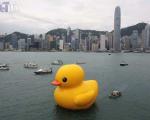 اردک ۱۶.۵ متری در هنگ کنگ