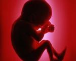12 نکته درباره لگد زدن جنین