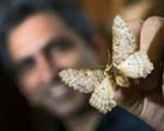 کشفی نادر در جهان حشره‌شناسی به رهبری دانشمند رانده شده از دانشگاه تهران!