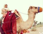 شتر سواری یک ستاره هالیوودی در دوبی +تصاویر