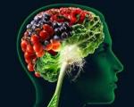 غذاهای دشمن مغز را بشناسید