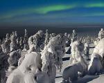 تصاویری از جنگل یخ زده در فنلاند معروف به زادگاه بابانوئل
