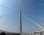 تکمیل بلندترین پل کابلی دنیا +عکس
