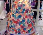 عکس: کیک جالب عروسی مجری زن