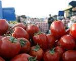 گوجه‌فرنگی كیلویی ۳ هزار تومان؛شکسته شدن قیمت تا هفته آینده