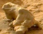 مارمولک مریخ شناسایی شد