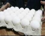 تعرفه واردات تخم‌مرغ صفر شد؛قیمت تخم مرغ تا یك هفته دیگر متعادل می شود