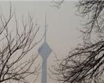 هوای تهران بازهم «ناسالم» است/ عموم مردم از فعالیت در فضای باز اجتناب کنند