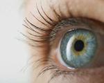 تلاش محققان آمریکایی برای بازگشت بینایی با استفاده از جلبک