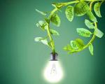 تولید برق از گیاهان زنده