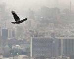 آلوده‌ترین نقاط تهران