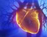 دستاورد محققان ایرانی در ترمیم بافت‌های آسیب‌دیده‌ قلب با کمک فناوری نانو