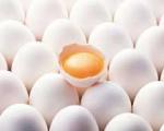 علت افزایش قیمت تخم مرغ در روزهای اخیر اعلام شد