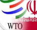 دست‌اندازهای الحاق به WTO