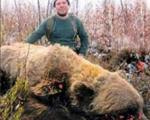 کشتن بزرگ‌ترین خرس جهان