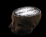 مشاهده تصورات انسان با اسکن مغزی برای نخستین بار