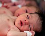 آمار جدید ثبت احوال از  تعداد موالید در کشور
