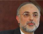 صالحی : پیش‌نویس قطعنامه شورای حکام آنطور که باید باشد نیست/ امروز پرونده هسته‌ای ایران در شورای حکام بسته می‌شود