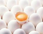 تخم‌مرغ 11 هزار تومانی گران نیست!