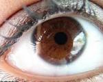 چرا چشم قهوه‌ای‌ها قابل اعتمادترند؟
