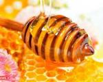 عسل در تقویت حافظه کودکان مؤثر است
