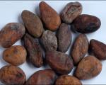 تصویر شکلات 2500 ساله/ نحوه مصرف کاکائو میان انسانهای باستان