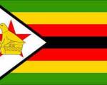 زیمباوه ؛ بازداشت 46 نفر به اتهام تماشای فیلم اعتراضات مصر و تونس