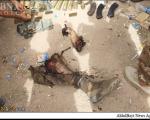 هلاکت عامل انتحاری داعش در بیجی +عکس(18+)