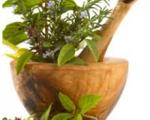 گیاهان دارویی مفید برای حساسیت های فصلی