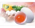 برای کاهش وزن، صبحانه تخم مرغ بخورید