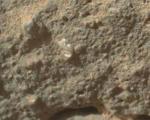 «گل مریخی»، کشف جدید کنجکاوی در مریخ