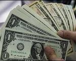 قیمت انواع ارز در مرکز مبادلات ارزی/ قیمت دلار آمریکا و یورو افزایش یافت