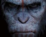 عکس: پوسترهای «سقوط سیاره میمون ها»
